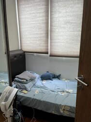 Whitehaven (D5), Apartment #503691161